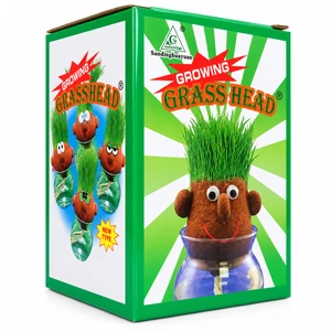 DIY Growing Grass Head for Kids with Water Pot Real Grass Hair Growing Activity for Cutting and Styling Educational Creative Toy Approx 7 × 6 cm